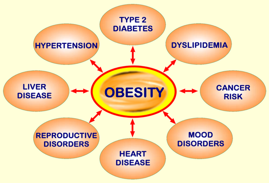 Risk of Overweight and Obesity in Health - Indo 2 Africa Medical ...