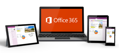 office 365