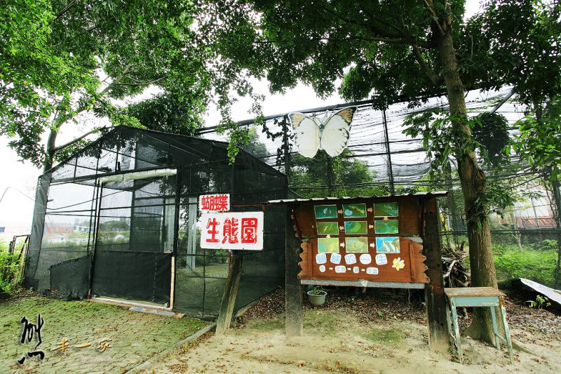 高雄阿蓮親子景點|農春鎮生態教育農場