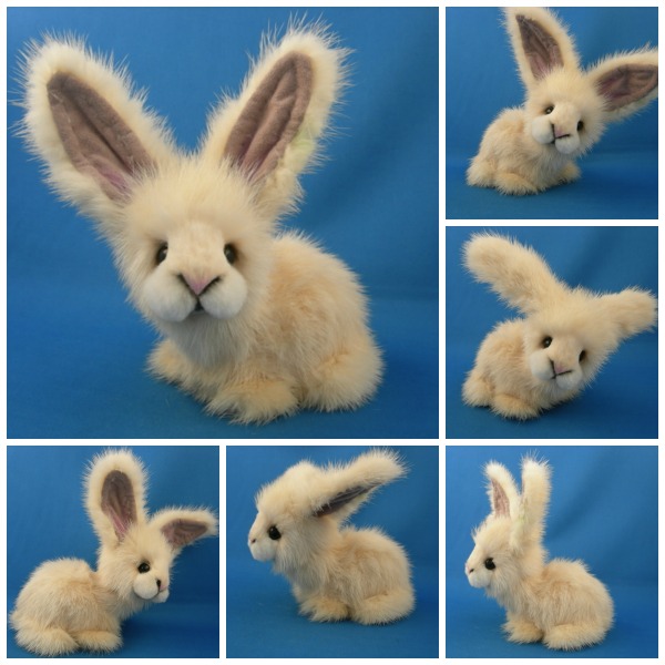 Designed By Kathy Myers: Ivory White Rabbit