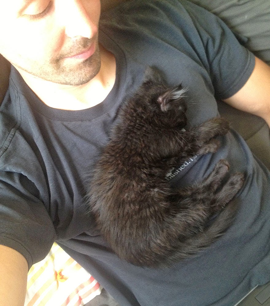 My Adopted Cat Is The Best Climbing Partner Ever Snow Addiction