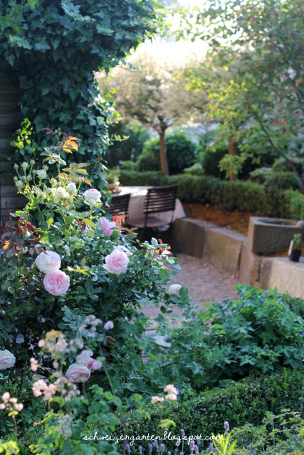 Ein Schweizer Garten All You Need