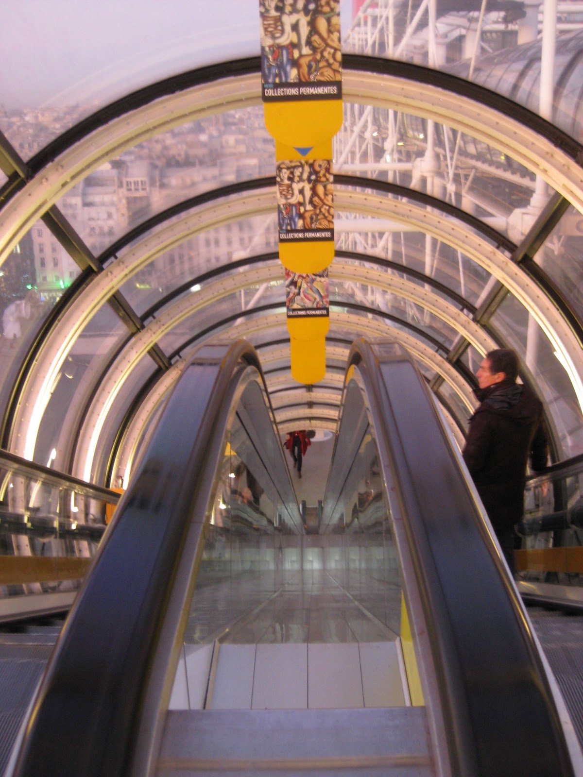 Arthur est un perroquet 35 Tage Paris Danser sa vie