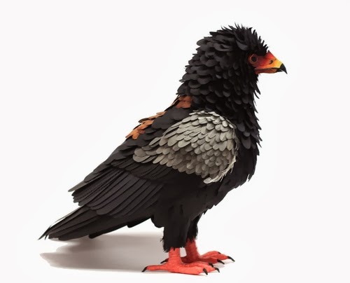 02-Bateleur-Eagle-Paper-Bird-Sculptures-Colombian-Artist-Diana-Beltran-Herrera-www-designstack-co