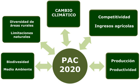 Resultado de imagen de blogspot pac politica agraria comun