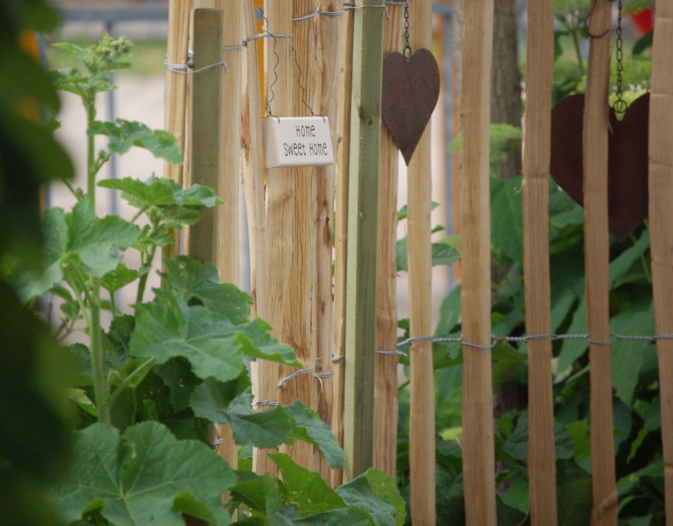 Gartenglück: Gartenimpressionen