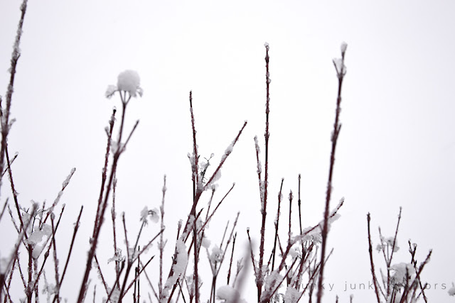 The snowy shed out back with many other snow pictures and stories via Funky Junk Interiors The snowy shed out back with many other snow pictures and stories via Funky Junk Interiors
