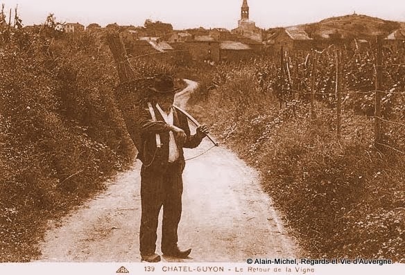 CPA vendanges et vendangeurs en Auvergne