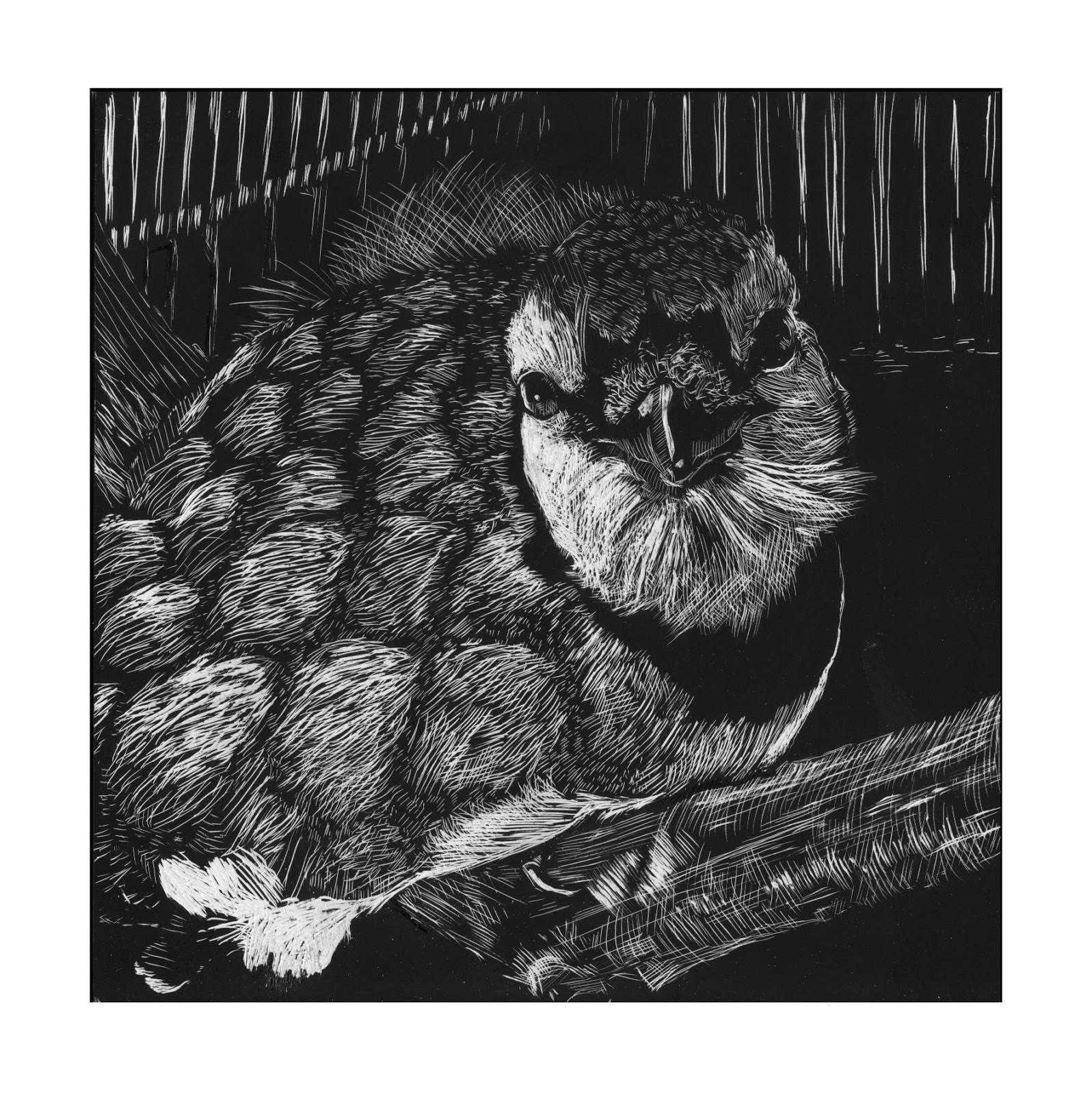 An Art Blog Scratchboard