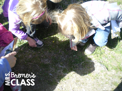 FREE Signs of Spring Scavenger Hunt Do you take your students outdoors to learn? You should! Students LOVE exploring nature! In this activity, students will search for spring items on the list. Take learning outside! #freebies #seasons #science #kindergarten #1stgrade #spring