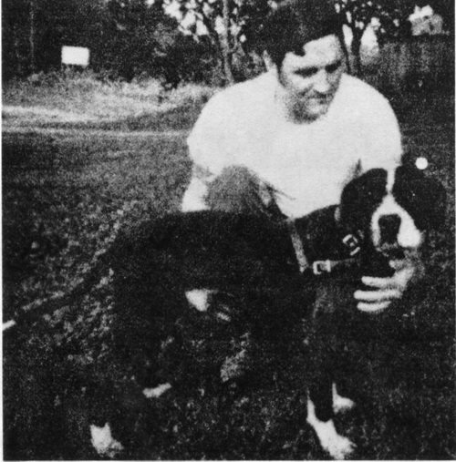 Game Dog World CH CRENSHAW'S RASCAL 8XW 1XL POR BY JAMES CRENSHAW