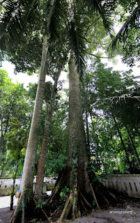 petilasan ki ageng mangir bantul