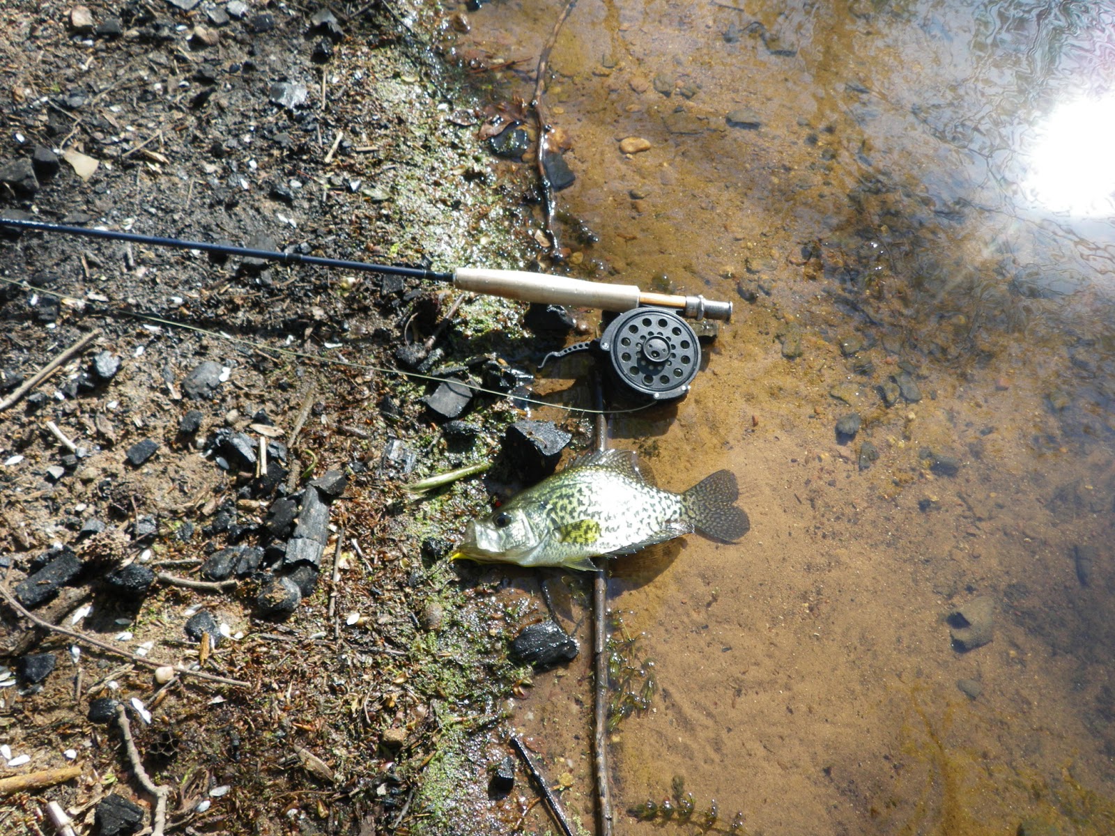 The Great Lakes of NYC Wolfes Pond and Acme Pond