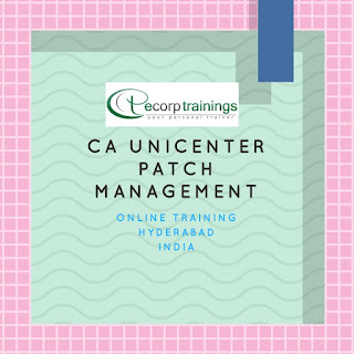 CA Unicenter Patch Management training in hyderabad