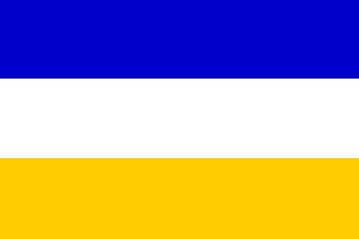 bandera de color azul amarillo y blanco