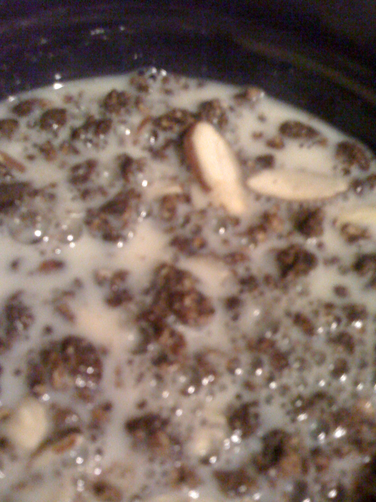 AfroVeganChick Product Review Trader Joes Just The Clusters