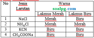 lakmus hidrolisis