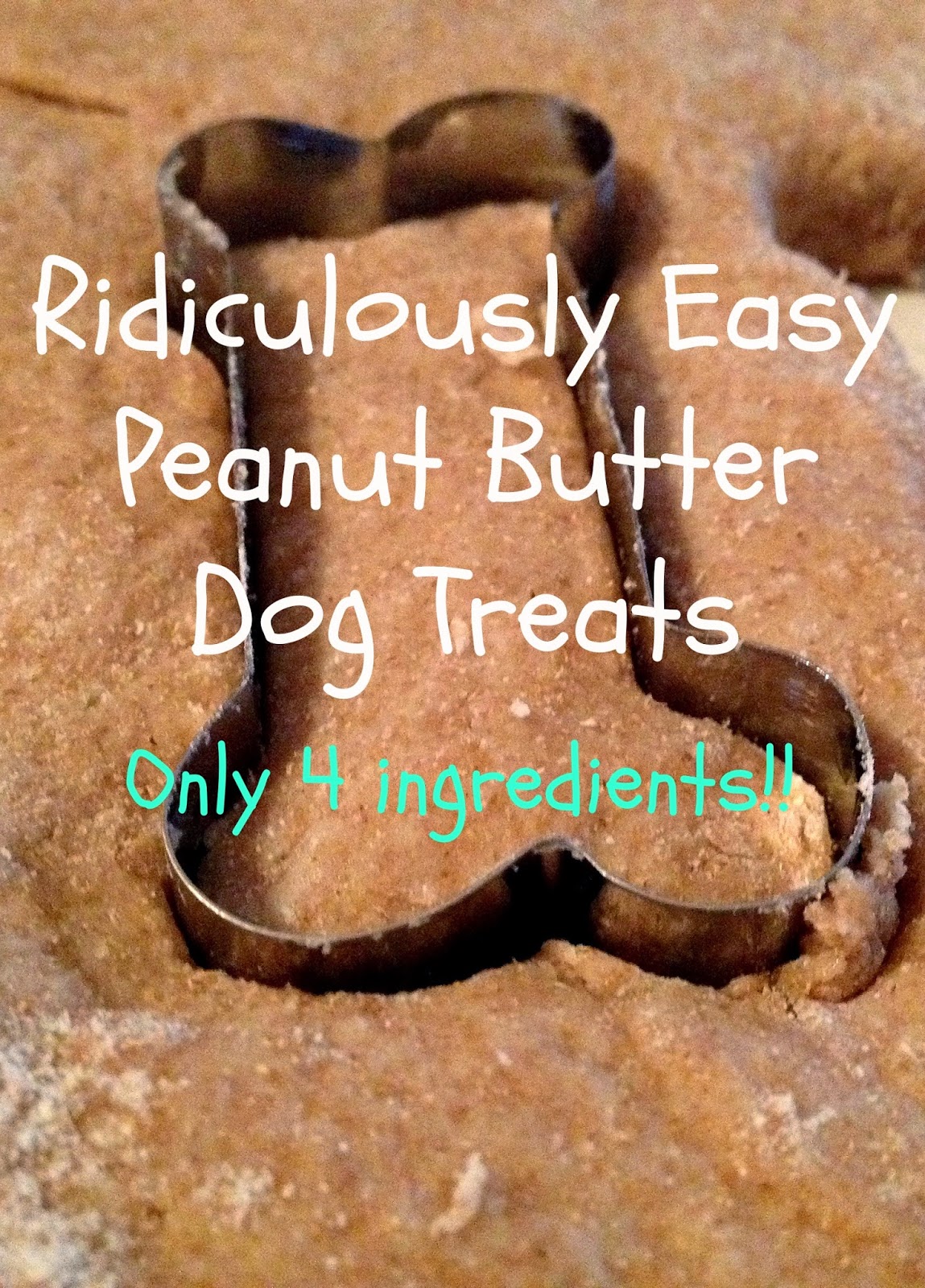 The Simple Life Ridiculously Easy Peanut Butter Dog Treats