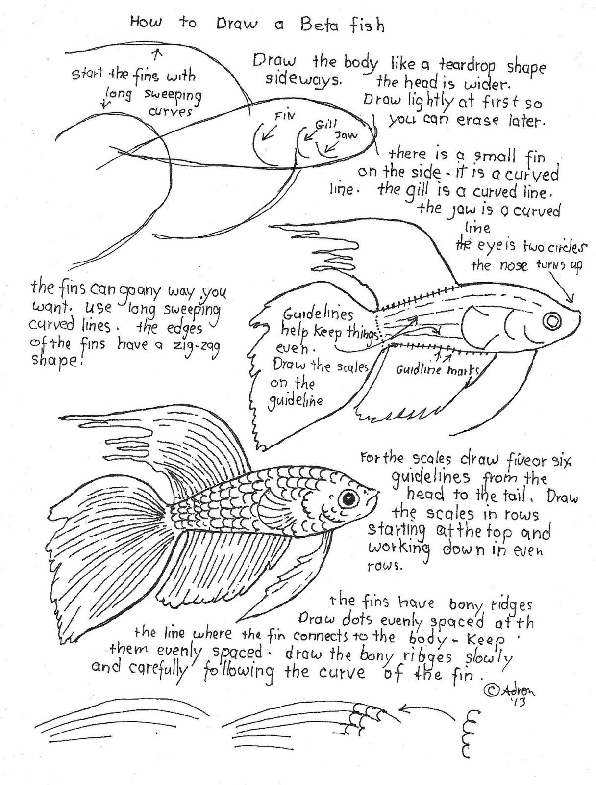 Free Worksheet Fish Anatomy Worksheet how to draw worksheets for the young artist a beta fish worksheet