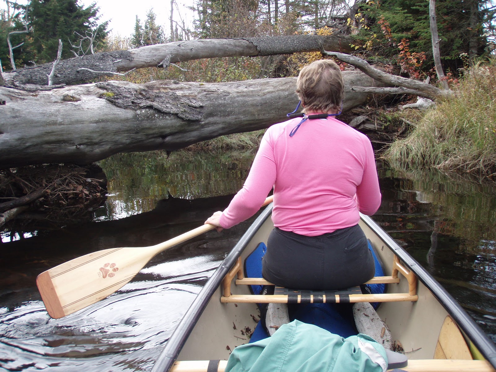 OSWEGATCHIE RIVER canoe camping
