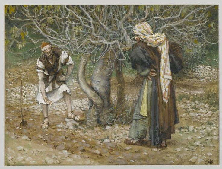 Luke 1319; interpreting the parable of the barren fig tree