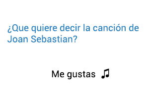 Significado de la canción Me Gustas Joan Sebastian.