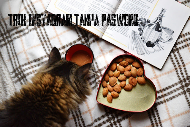 Gratis 50 Likes Instagram Tanpa Memasukan Pasword dan Aman Gratis 50 Likes Instagram Tanpa Memasukan Pasword dan Aman