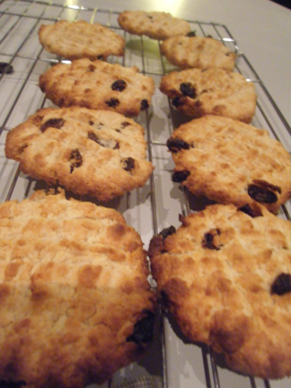 Syrup and Sultana Biscuits