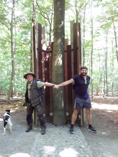 Expected width of a tree in Nationalpark Eifel