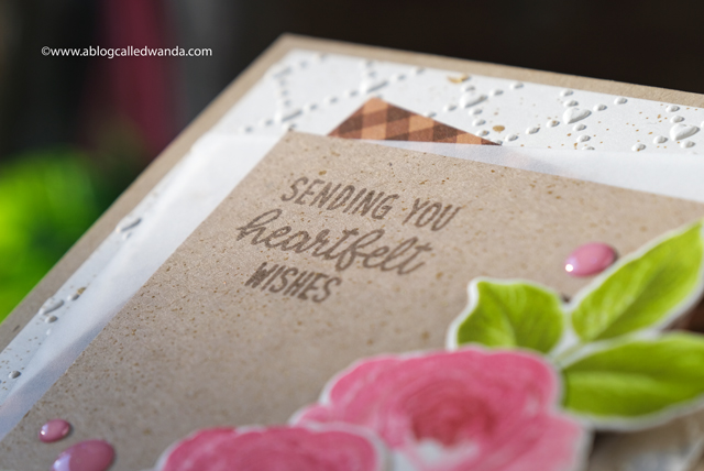 Sunny Studio Stamps: Love Monkey Staggered Circles Everything's Rosy Birthday Card Well Wishes Card by Wanda Guess