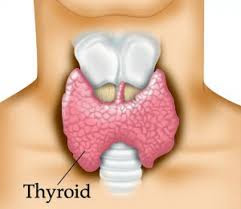 Thyroid Remedies in Hindi