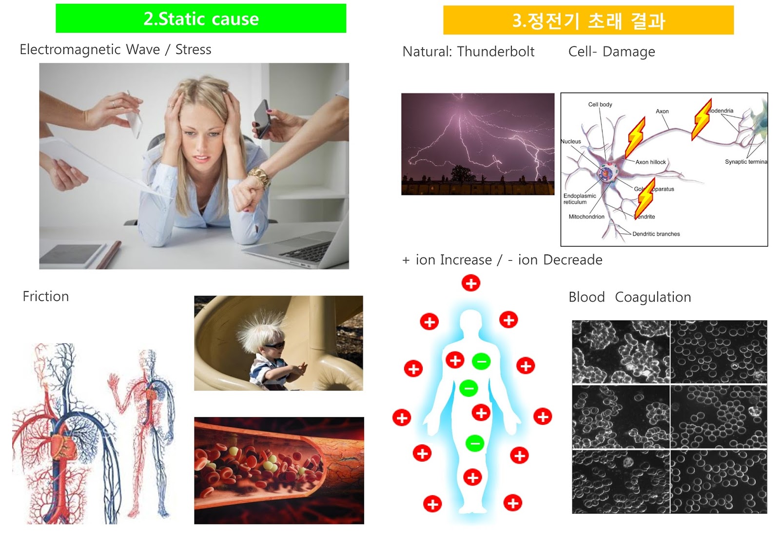 Earthing Grounding The Human Body