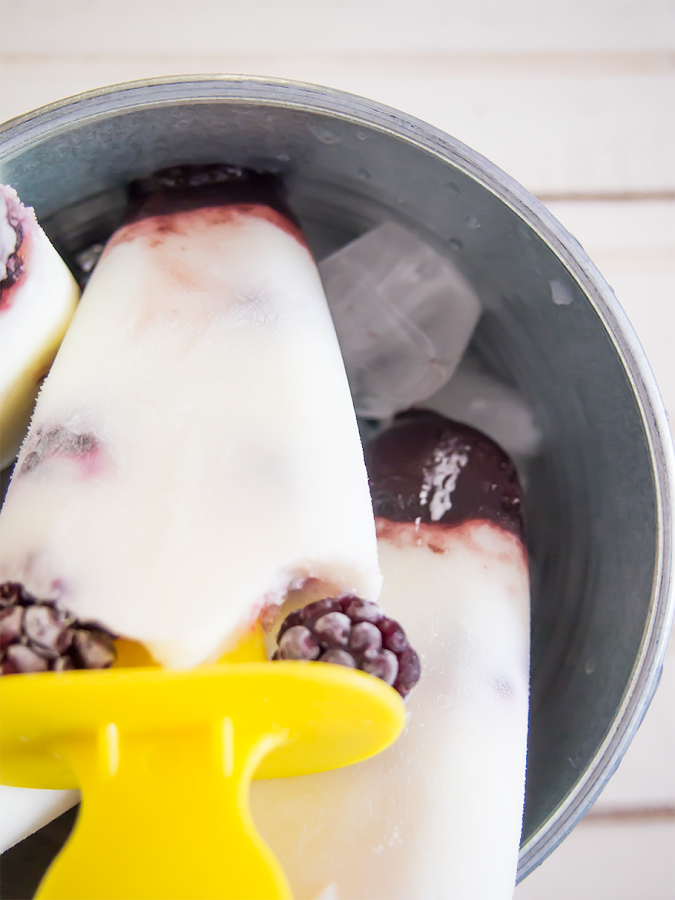 Polos de yogur y mora