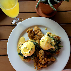 Fried Gulf Oysters Benedict