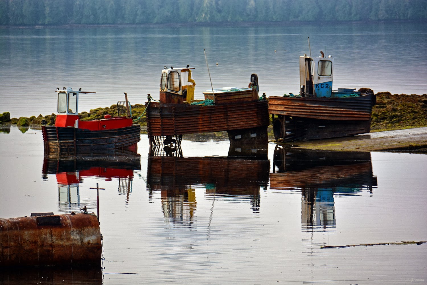 Shutterbugs Capturing the World Around Us Boom Boats