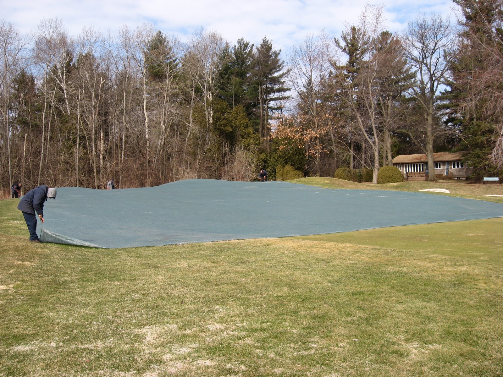 Greenman's Greens Under the Covers