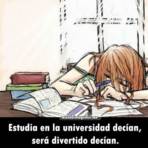 Imagenes Graciosas Estudiando | casi veterinaria Imagenes Graciosas Estudiando | casi veterinaria