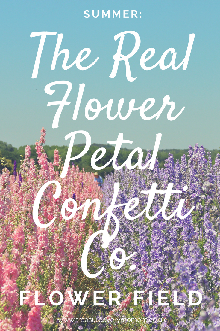 SUMMER: The Real Flower Petal Confetti Co. Flower Field
