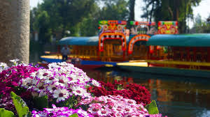 festival de las flores xochimilco 2017