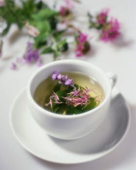 Beebalm and other flowers float in a cup of herbal tea made with catnip, motherwort, beebalm, laven