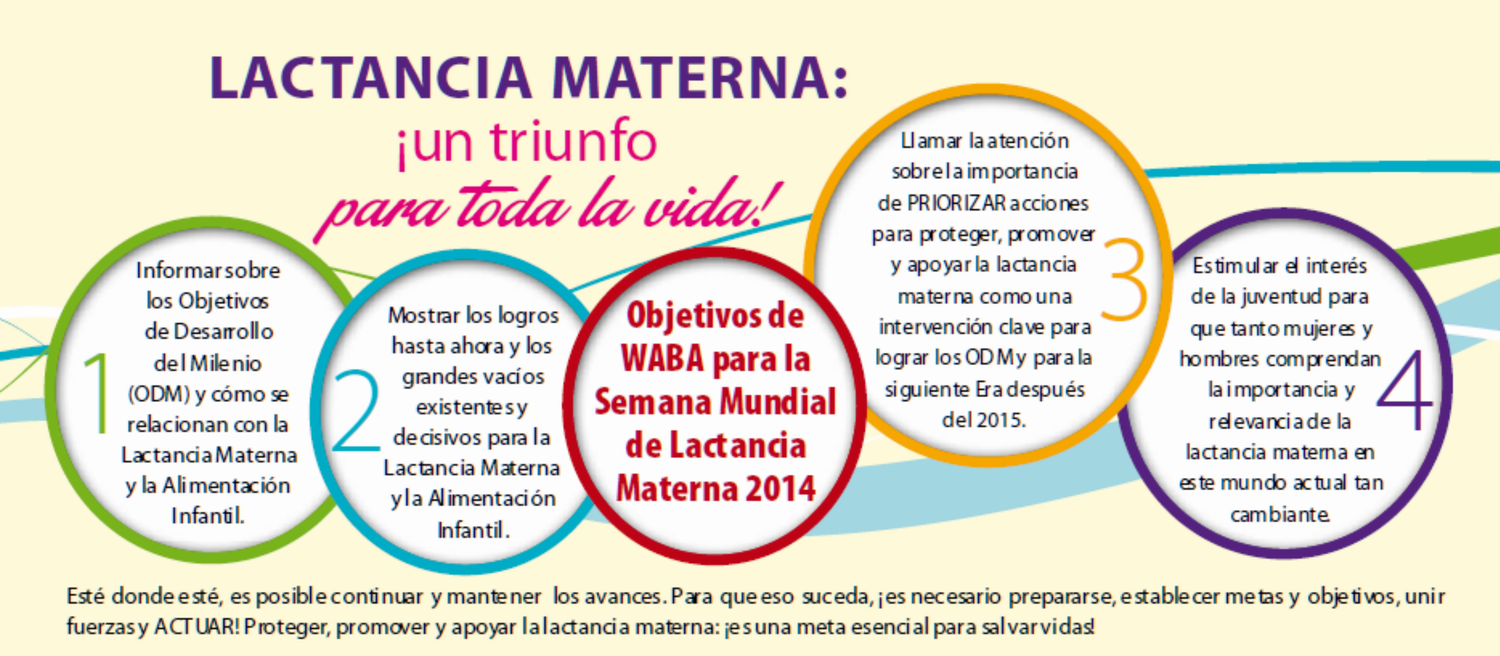 objetivo de charla sobre lactancia materna