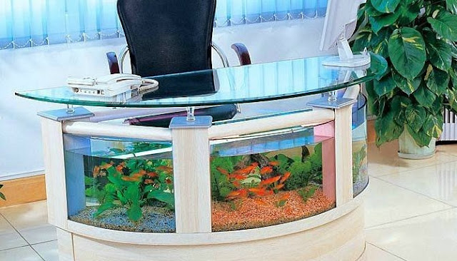 Ini Dia Lima Bentuk Akuarium Paling Unik Di Seluruh Dunia Ini Dia Lima Bentuk Akuarium Paling Unik Di Seluruh Dunia