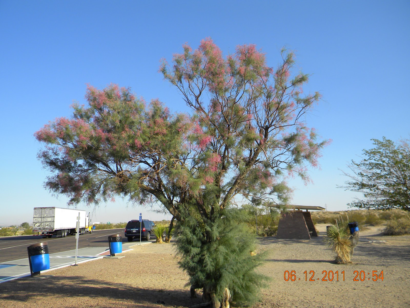 Dave and Lindas Travels Kerrville to Van Horn, Tx. and on to Tucson Az.