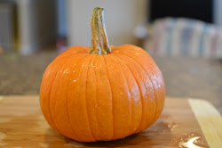pumpkin princess puree provident pumpkins sugar pie cooker pressure