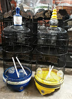 Sangkar Kapsul Sangkar Kapsul