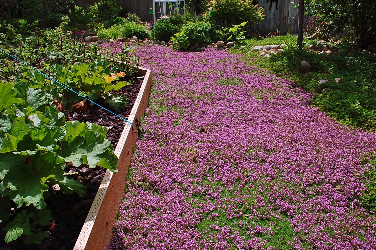 Maybe It's Just Me Blooming Marvelous