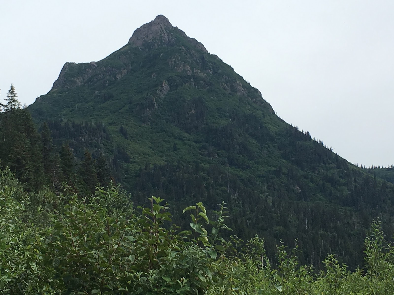 Life in Alaska — A View From Homer Climbing Poot Peak
