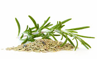 Ervas e plantas medicinais que você pode plantar em casa