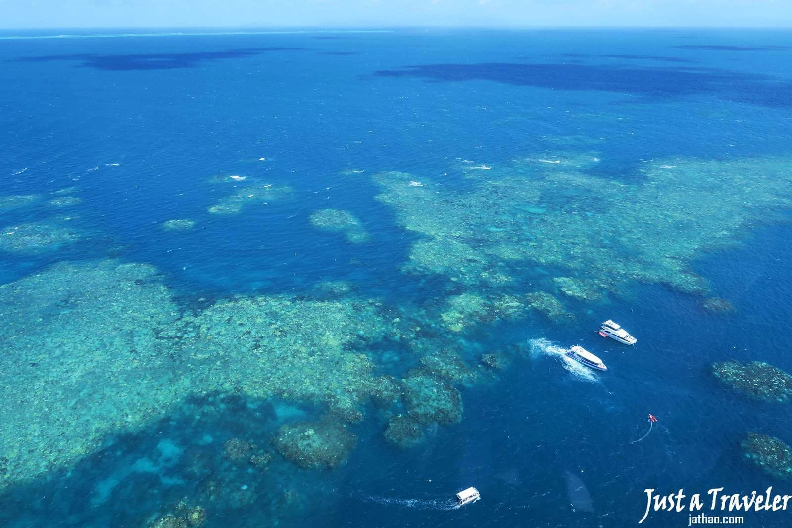 澳洲-凱恩斯-景點-交通-遊記-推薦-凱恩斯自由行-凱恩斯旅遊-大堡礁-美食-住宿-攻略-Australia-Cairns-Great-Barrier-Reef-Travel-Tourist-Attraction-Food-Transport