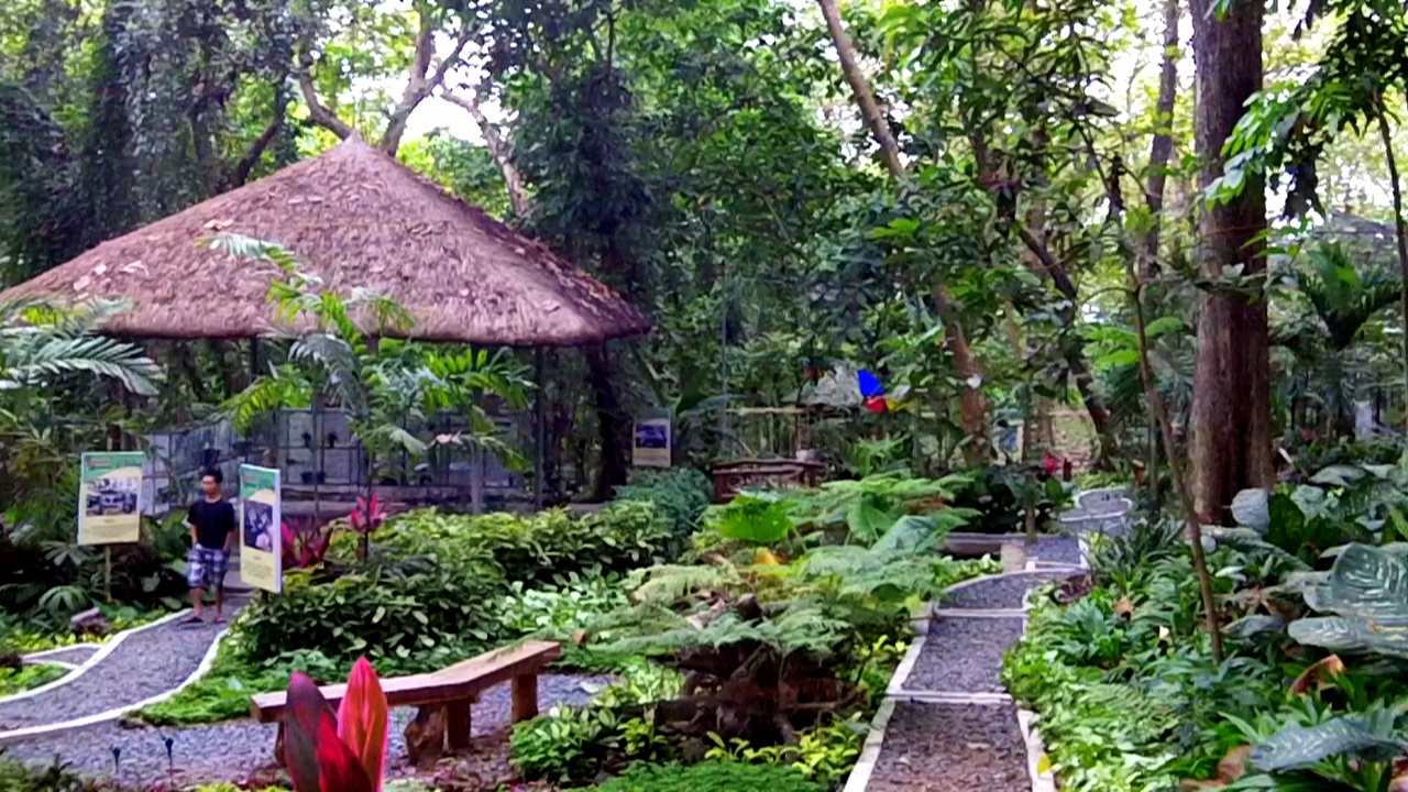 La Mesa Eco Park Butterfly Haven/Garden